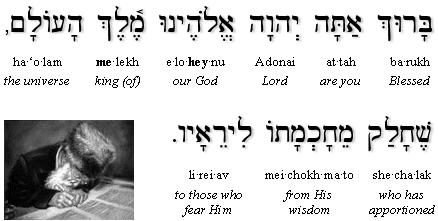 Blessing upon seeing a Torah Sage