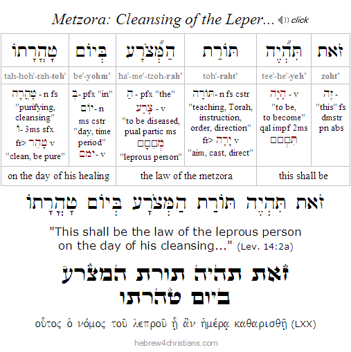 Lev. 14:2a Cleansing the Leper Hebrew