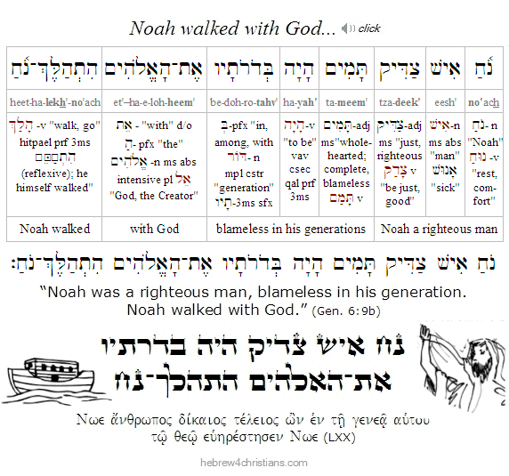 Genesis 6:9b Hebrew lesson