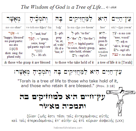 Proverbs 3:18 Hebrew lesson