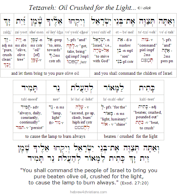 Parashat Tetzaveh - Quick Summary